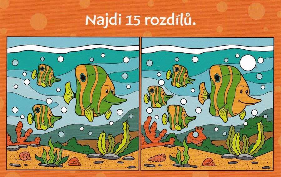 Z hodiny němčiny: Vyplývá z testu nějaké ponaučení?
