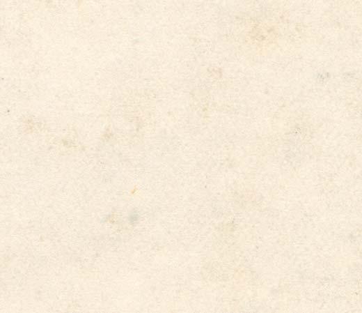 7,0 ODOLNOST PROTI CHOROBÁM Bílá hniloba brukvovitých (Sklerotiniová hniloba) (9 1) 6,1 6,5 5,8 6,5 6,7 6,8 6,5 5,2 6,2 6,4 6,4 5,3 6,4 5,7 Fomové černání stonku brukvovitých (9 1) 6,1 6,4 5,9 6,4