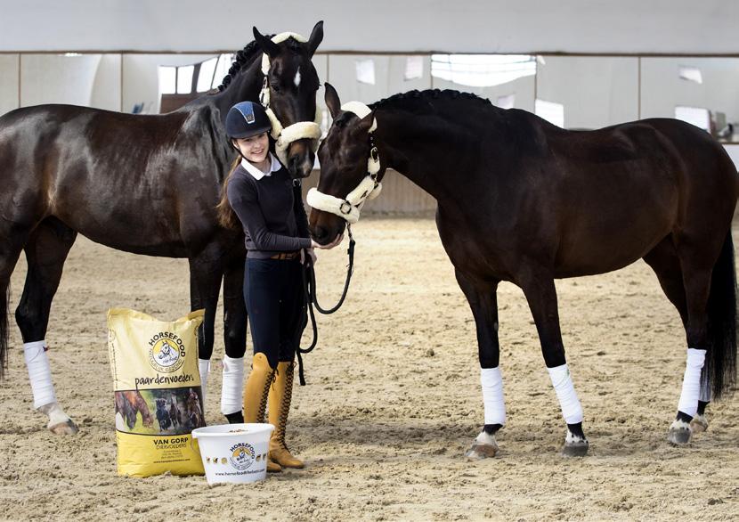 Díky složení a kvalitě krmiva Horsefood the best mají koně dobře vykreslené svaly a pružné šlachy.