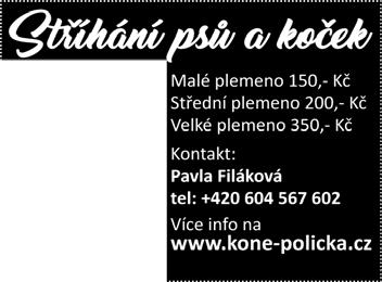 Ještě před pár lety se obvykle 10 % přihlášených osob na koledu vůbec nedostavilo. Letos v Poličce nepřišlo jedno dítě, a to rodiče předem omluvili pro nemoc.