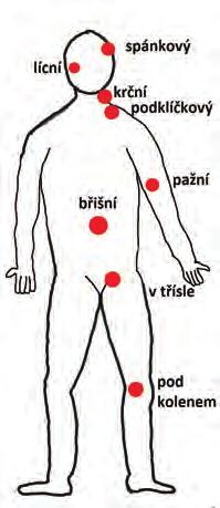První pomoc Šance pro život 2, URL:http://kapa -ops./?cat=1474 První pomoc Zachraň život, URL: http://kapa -ops.cz/?p=1486 2.