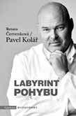 Dávám sice přednost menším lidovým koštům v malých obcích nebo přímo ve sklípcích, ale zde je velkou výhodou, že se může člověk potkat s vinaři z velkých vinařství, kteří zde prezentují své produkty,