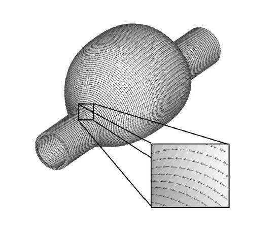 Obrázek 4.6: Orientace vláken v idealizované geometrii, převzato z [28]. Vande Geest, J. P. et al. Nejlépší ze všech zdokumentovaných definicí byla popsána ve článku [27].
