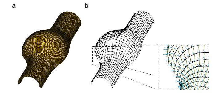 Obrázek 4.10: Síť a materiálové směry, převzato z [46]. (a) 3D spline-křivka spojující středy všech dílů výdutě, (b) Materiálové směry, R - radiální, T - obvodový, Z - axiální směrů.
