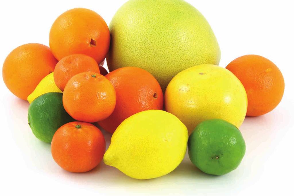 Roubované citrusy Citrusy a subtropické rostliny rakytníky Rakytník řešetlákový je