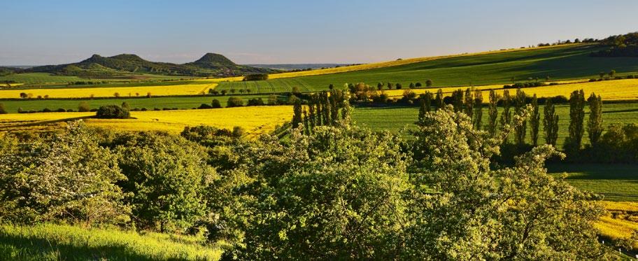 ČINNOST ODBORŮ ČINNOST ODBORŮ Odbor majetkový Majetkový odbor se v roce 2016 zabýval majetkoprávním vypořádáním pozemků pro účely podání žádosti o dotaci z IROP pro investiční akce: Nová komunikace u