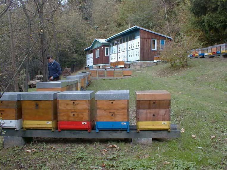 jednotlivě.