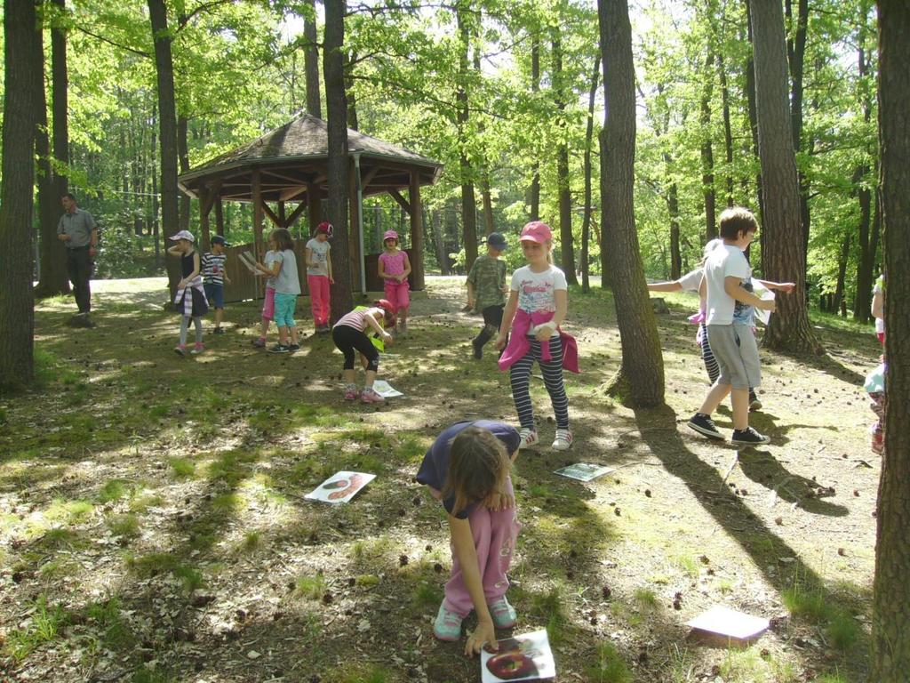 Ovoce do škol Celoroční projekt v rámci EU, jehož cílem je podpořit zdravé stravovací návyky dětí a zvýšit spotřebu ovoce a zeleniny Sběr: - použité baterie - starý papír - zářivky Žáci byli po celý