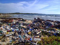 Závěry znečištění oceánů (a obecně ŽP) plasty jako problém budoucnosti (zejména v souvislosti s rozvojem chudších částí světa) význam omezování výroby a používání