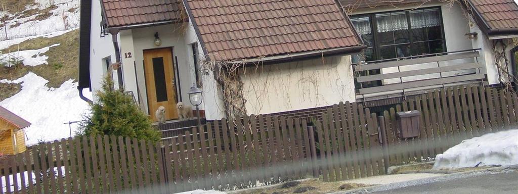 střecha, příliš vysoká podezdívka, vstup ve štítové straně,