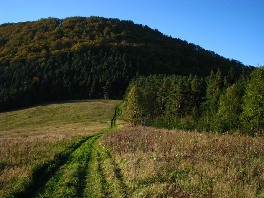 . Vystúpiť na zastávke Brodno.