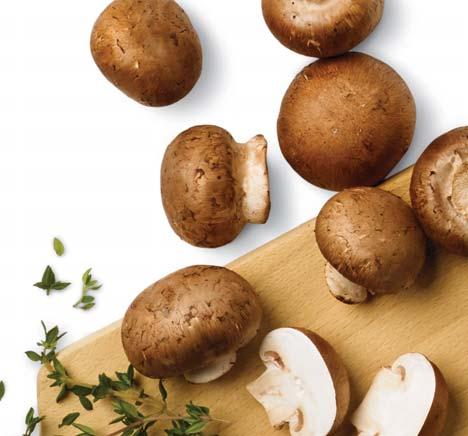 suchého bílého vína 1,25 l kuřecího vývaru Špetka šafránu 40 g najemno nakrájeného parmezánu + navíc na ozdobu Sůl a