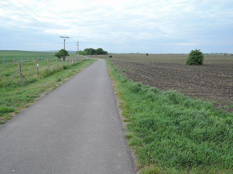 ZNALECKÝ POSUDEK č.