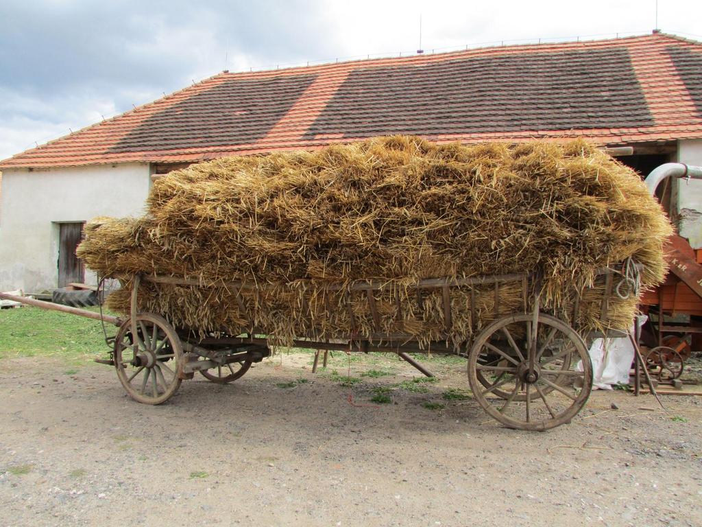 Děkuji za