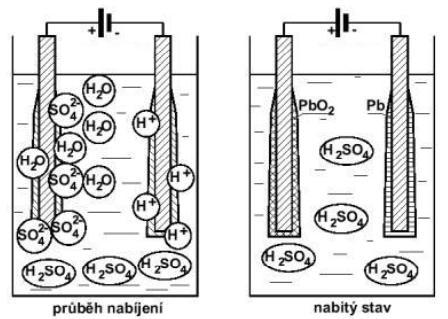 (1.3) (1.4) Kladná elektroda: (1.5) (1.6) Celková nabíjecí reakce akumulátoru: (1.7) Ve vodném roztoku se při nabíjení vytvářejí další molekuly kyseliny sírové a elektrolyt houstne.