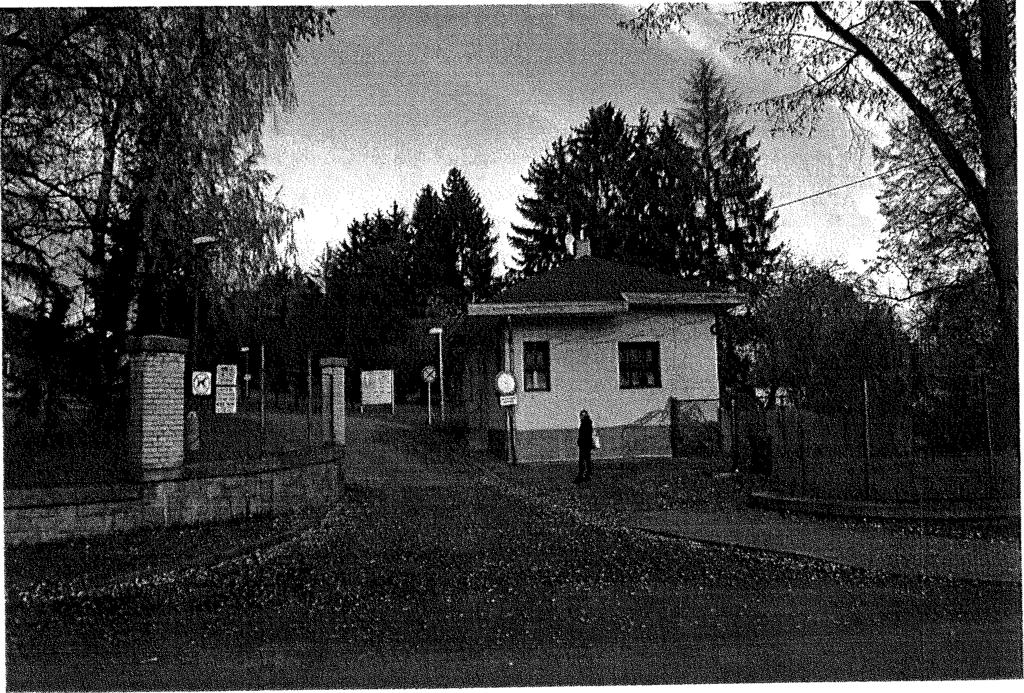 (hlavní)