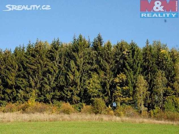 Smíšený smrkový, habrový a březový les, z jedné