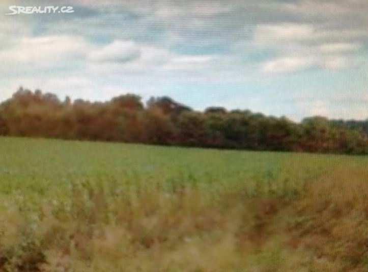nad Trotinou, okres Hradec Králové Výměra: 4 500 m 2 Mladší les, různorodá skladba dřevin.