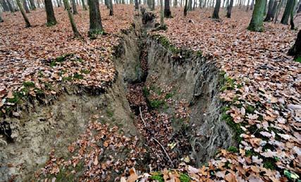 z radnice Dešťová voda v Černošicích Tento text představuje shrnutí již provedených i dalších připravovaných opatření na ochranu města před přívalovými dešti, které bylo představeno jako podklad k
