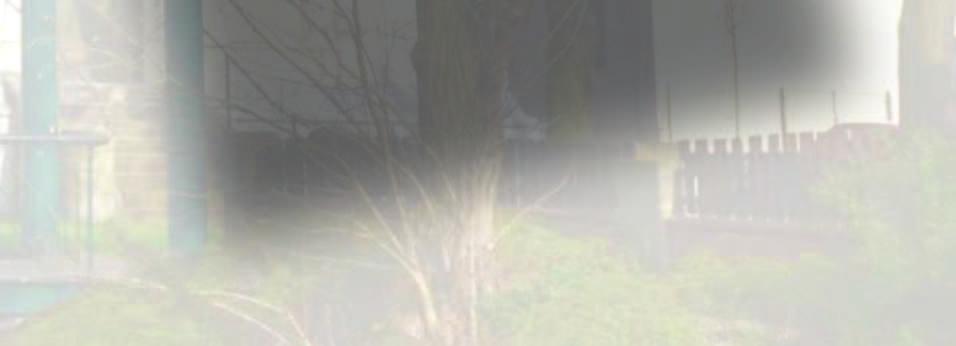 147 632 19,685 685