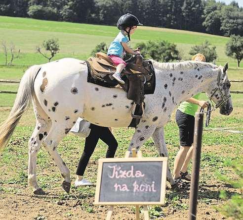 ZEMĚDĚLSKÝSPECIÁL PŘÍLOHA TÝDENÍKU 5plus2 Farmáři vcelém Česku ukážou, jak se vyrábí lokální dobroty Akce na farmách Liberecký kraj Farma pod Ještědem (26. 5.) Olomoucký kraj Farma Branná (16. 6.