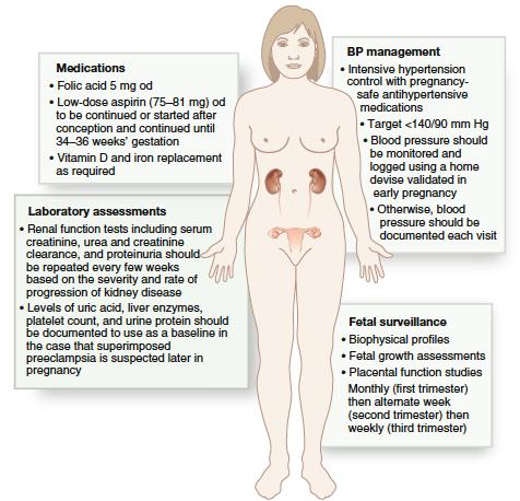 Antenatální péče u nemocné s CKD Cíl= identifikace a korekce RF, optimalizace celkového stavu pacientky stabilizace základního onemocnění korekce hypertenze redukce proteinurie korekce anémie korekce