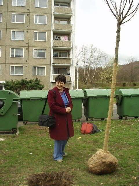 V letošním roce se dostalo též na řadu inovací v budově radnice na náměstí 1.
