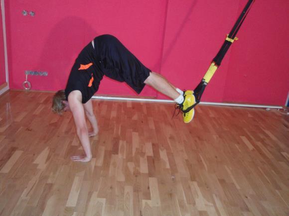 Popis cviku: z lehu provedeme sed (sklapovačka) a zpět do základní polohy Technika provedení: dlouhé TRX aby bylo zhruba 30cm nad zemí Fyziologický účinek: posílení břišního svalstva Chyby v
