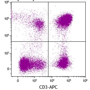 CD19-PE-Cy7 CD8-FITC BC BD CD4 37 % 36 % CD8 19 % 21 % CD3-APC BC BD
