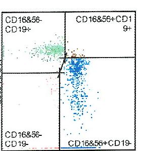 0,5-1,8 10 9 /l CD8 28 19-34 % CD8_ABS 0,9 0,4-1,2 10 9 /l B_IRI 1,3 0,7-3,2 --- CD19 11 10-31 % CD19_ABS