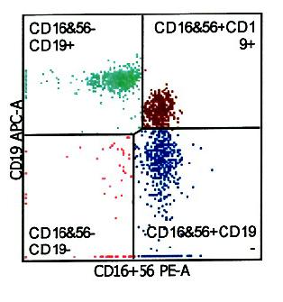 CD8 27 19-34 % CD8_ABS 0, 0,4-1,2 10 9 /l B_IRI 1,2 0,7-3,2 --- CD19 13