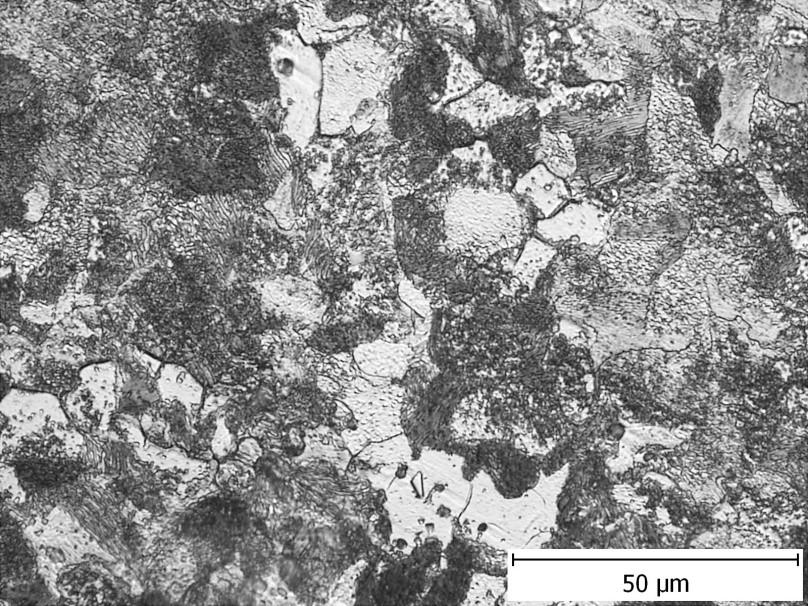 Struktura oceli C45 o průměru 20 mm Popis struktury Obr. 3.5 Perlit + Ferit Struktura oceli C45 o průměru 12 mm Popis struktury Obr. 3.6 Perlit + Ferit 3.