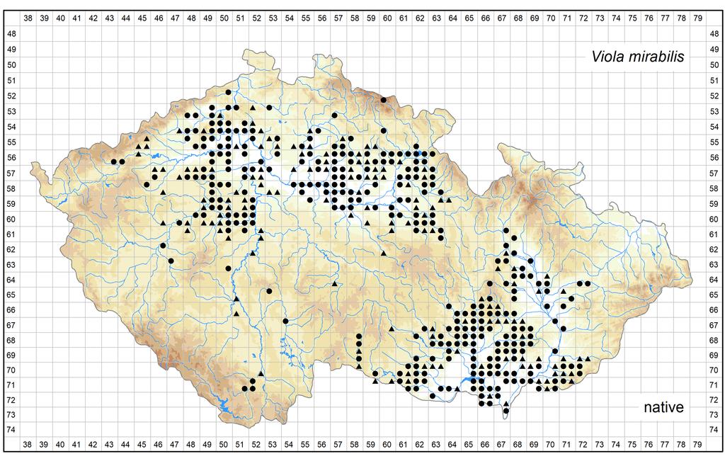 Distribution of Viola mirabilis in the Czech Republic Author of the map: Jiří Danihelka, Jan Kirschner Map produced on: 12-06-2018 Database records used for producing the distribution map of Viola