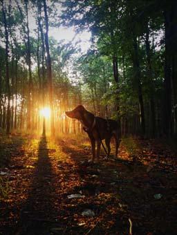 Své fotografie můžete vkládat (i postupně) na www.