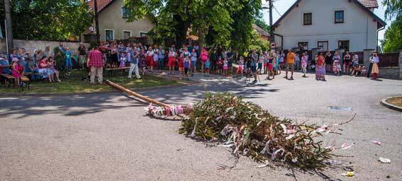 KULTURA Májové tradice v Osnici V podvečer 30. dubna se po řadu let scházela mládež a děti v doprovodu rodičů na různých místech za vsí.