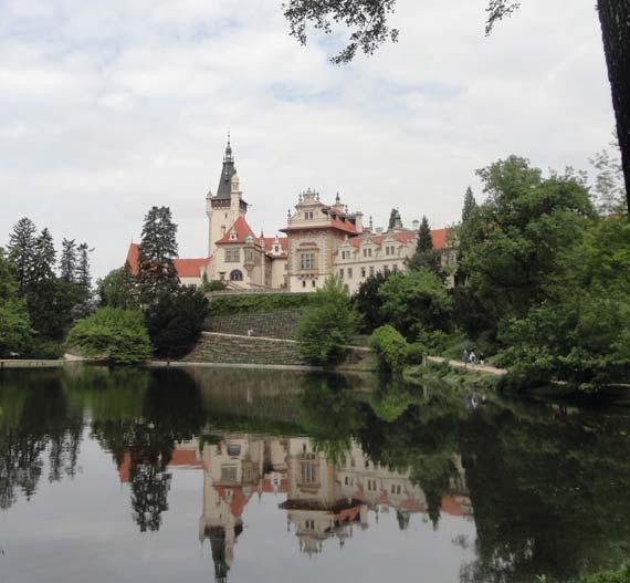 PŘÍRODA KOLEM NÁS hned vedle starého a podle mě docela vyhovujícího. Právě teď už si stavějí hned vedle třetí, jako by jim dva plus KK nestačilo.
