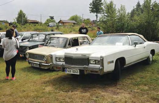 akci. Připraven byl i