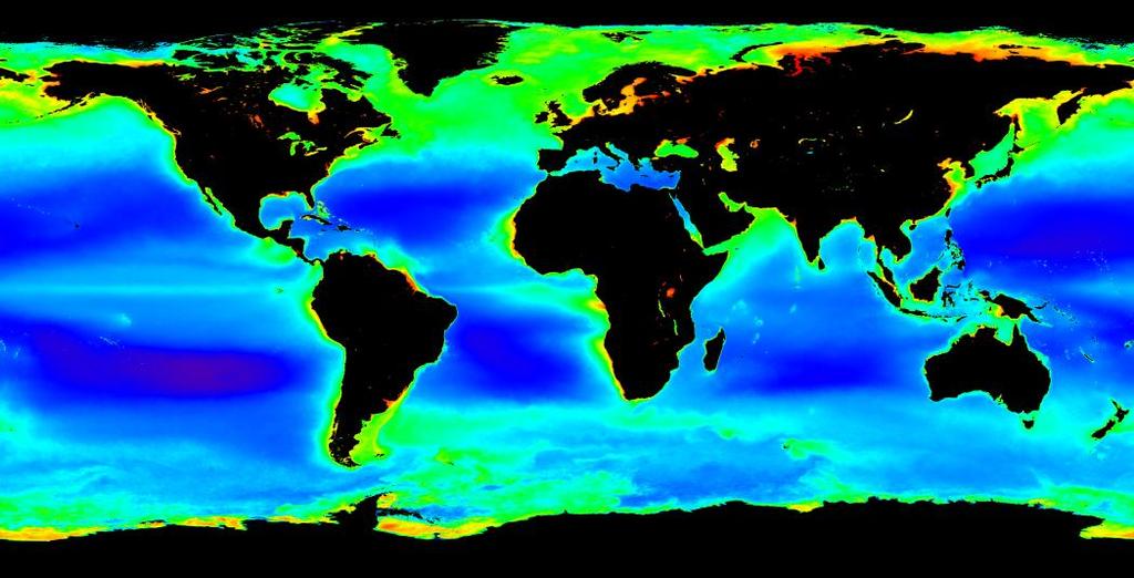 mořský fytoplankton úvodní