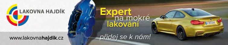 závěrečnou zkouškou Dosažené vzdělání střední vzdělání s výučním listem ve stavebnictví jako malíř, tapetář, lakýrník a natěrač, ve strojírenství, příp.