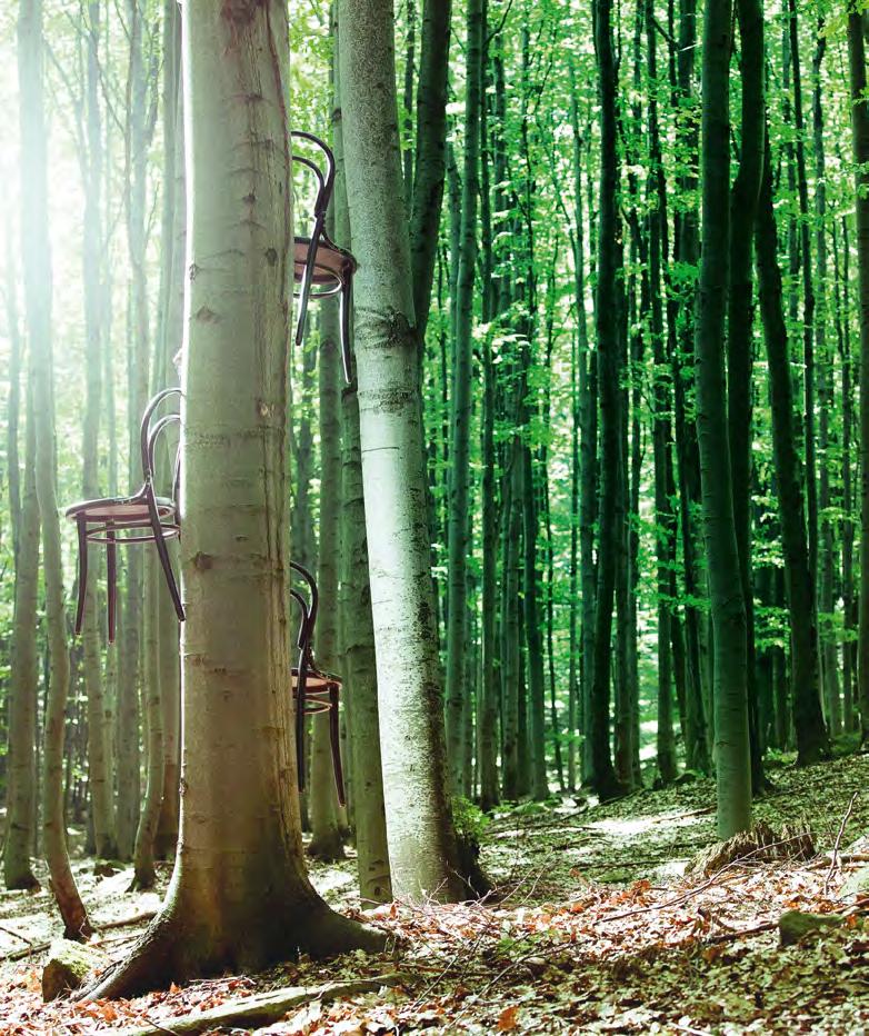 jsi woodlover? přidej se k nám!