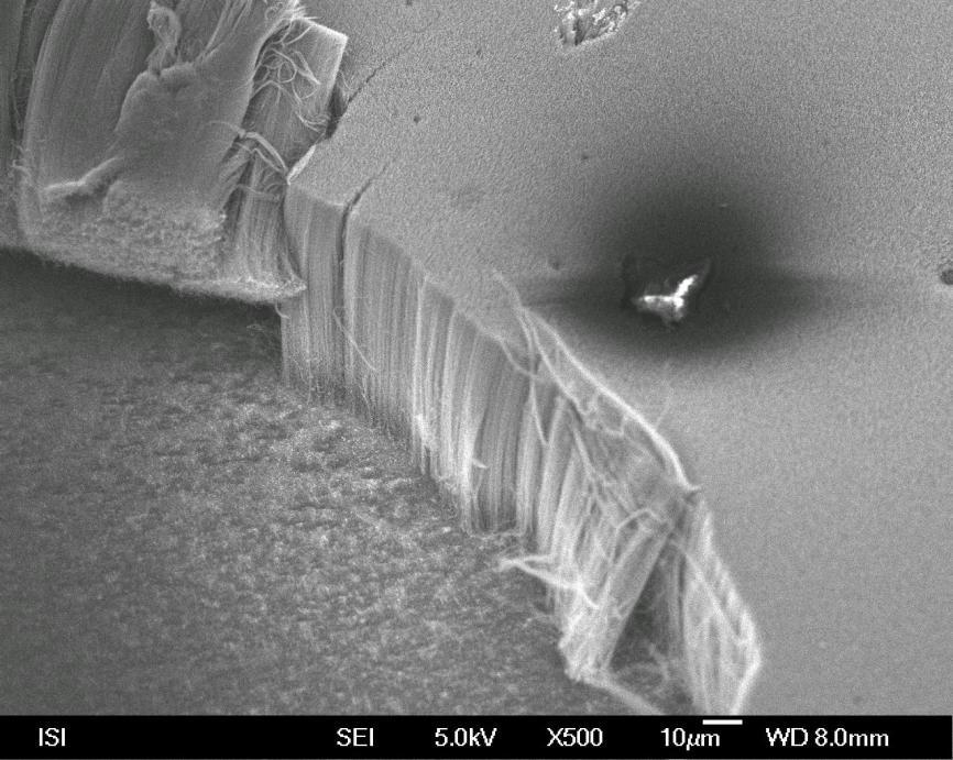 CNTs v mikrovlnném pochodňovém výboji SEM analýza nanotrubek deponovaných na substrát s