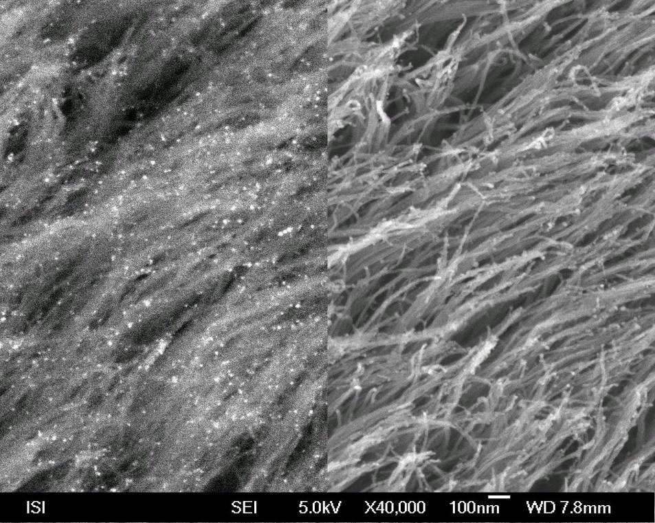 CNTs v mikrovlnném pochodňovém výboji Fotografie nanotrubek na