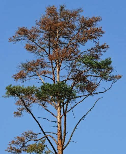 Obrázek 3.6.1.