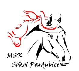Pardubické karate 2016 Oddíl MSK Sokol Pardubice (moderní sportovní karate) Náš oddíl byl založen v T.J. Sokole Pardubice I dne 1.9.1997.