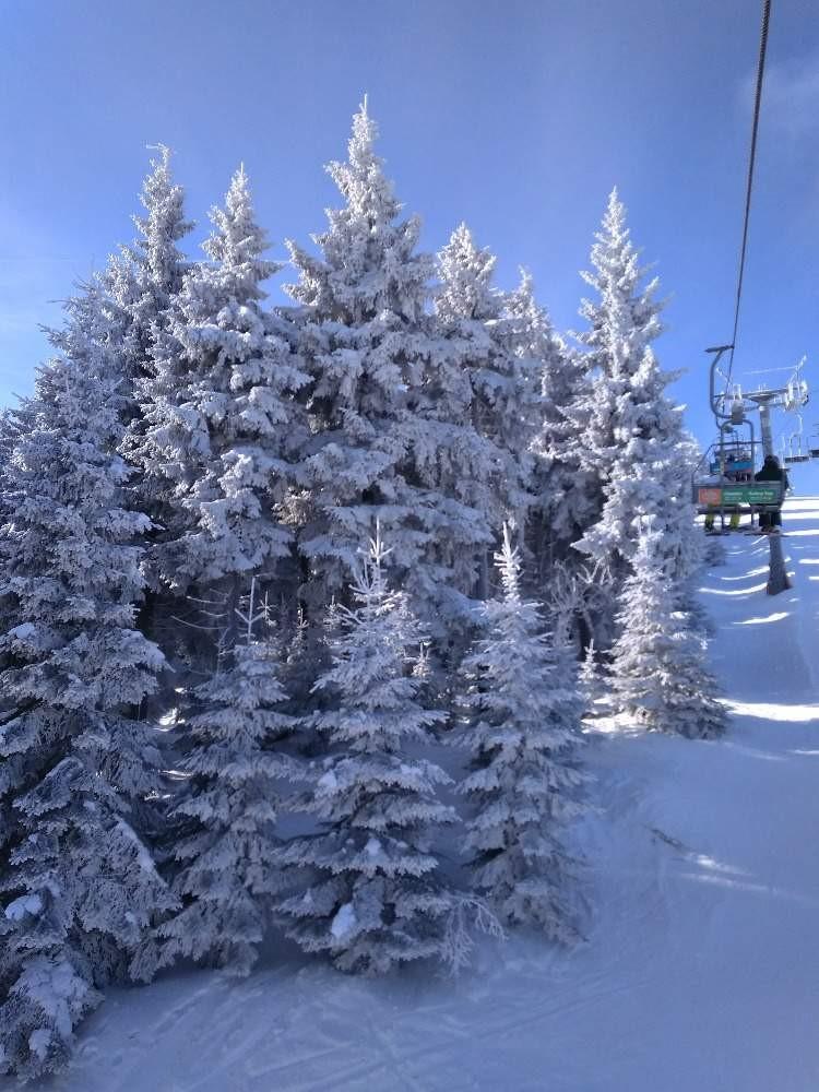 LYŽÁK 2019 V březnu naše škola uskuteční lyžařský kurz (3. - 8. 3.