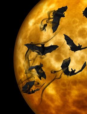 slavili příchod nového roku přesně tento den. Noc, která lámala říjen a listopad, nesla název Samhain podle keltského boha Samhaina (Sow- en, Anwinn), který byl podle víry starých Keltů pánem mrtvých.