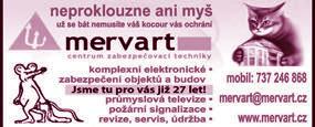 eu POLICEJNÍ RAZIE NA RADNICI P 1 KDO S KÝM, KDE A PROČ A HLAVNĚ: ZA KOLIK!