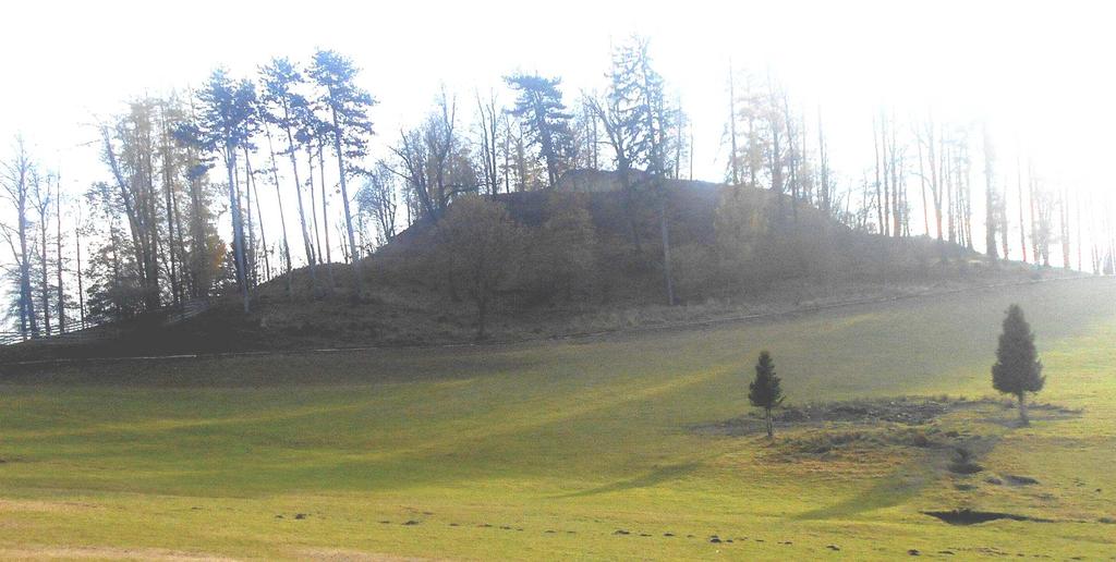 ZPRAVODAJ KLUBU AUGUSTA SEDLÁKA Hrad Nové Hrady u Vysokého Mýta Vojtch Barcal roník XXIX, 2018,.