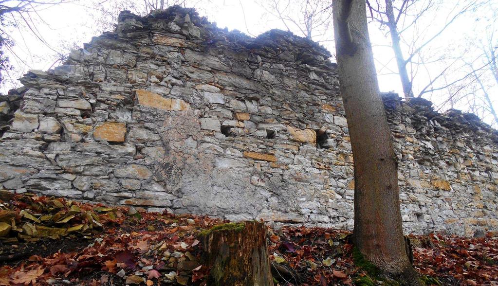 Obvodová hradba na severozápad s pozstatky omítky nejzachovalejší zbytek hradu (foto autor 2016). žil, tudíž lze pedpokládat njaké panské sídlo.