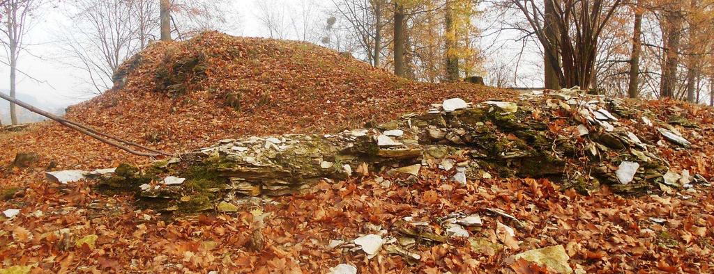 století získal božidomské zboží do držení husitský hejtman, nejvyšší mincmistr Království eského a od roku 1467 nejvyšší purkrabí pražský Zdenk III.